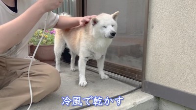 ドライヤーは苦手…