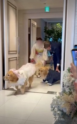 意気揚々と会場内へ♪