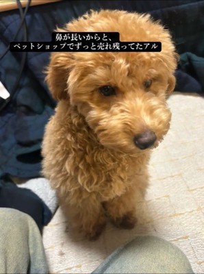 アルくんとの出会い