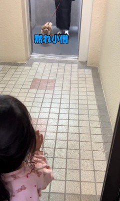 いってきます…!