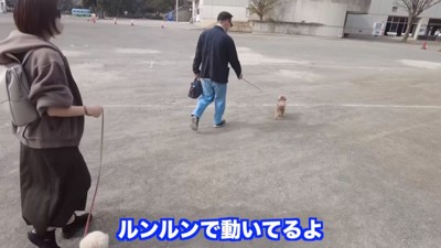 おじいちゃんと散歩する虎太郎くん