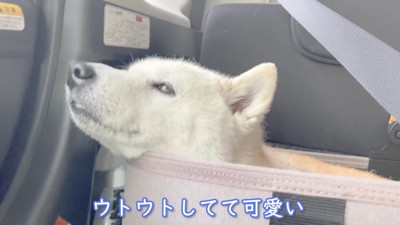 車の中でウトウト