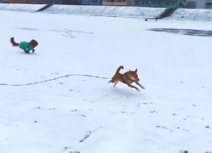 友達のわんこ!!