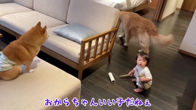 「布団に行くよ～」