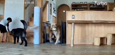 お水を変えてあげました