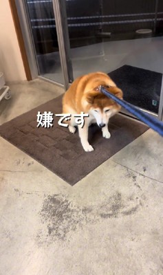 攻防戦は終わらない