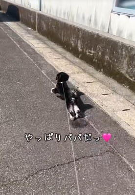 大喜びでダッシュ!