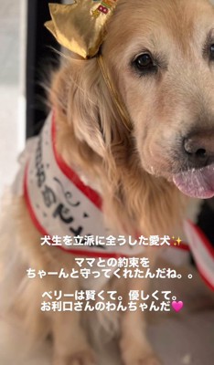 立派に犬生を全うしました！