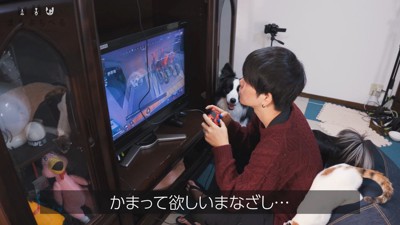 「構って♡」とお目目でアピール