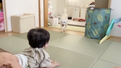 即ダッシュ！！