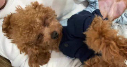 天使みたいな可愛さです♡