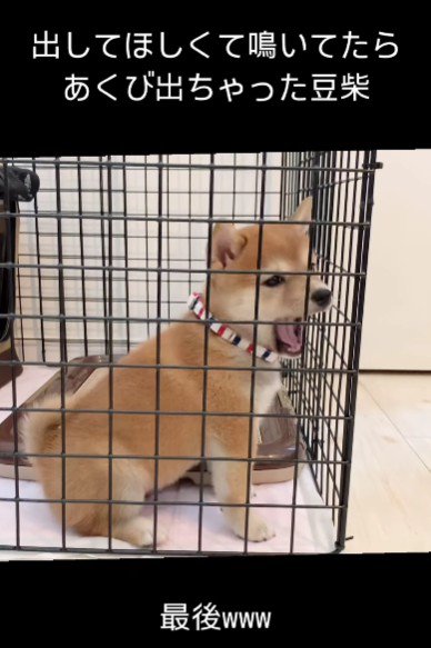 「やっぱ眠たいかも」