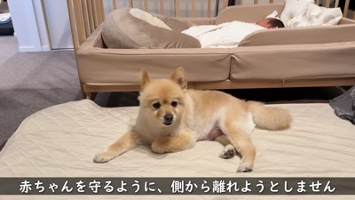 守っているかのように…