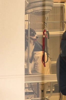 レアちゃん、頑張ってるよ！！