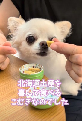 幸せな日常が戻った