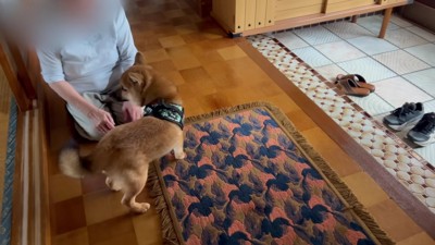 不安そうなゆきちちゃん