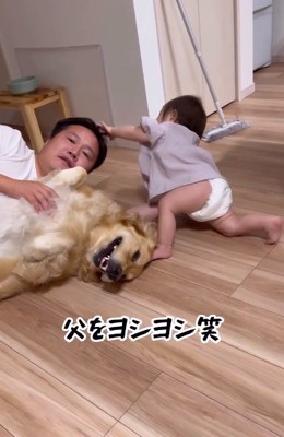 パパをヨシヨシする赤ちゃん