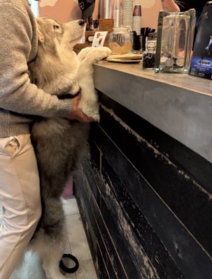 「カフェラテをひとつ…」