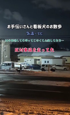 積雪の上とは思えない華麗な走り