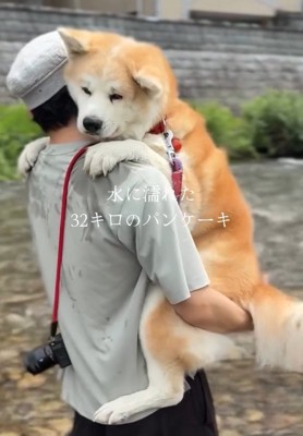 完成した抱っこ