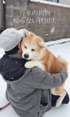 お家まで抱っこしてあげることに