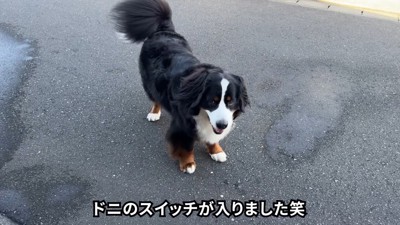 スイッチオン！