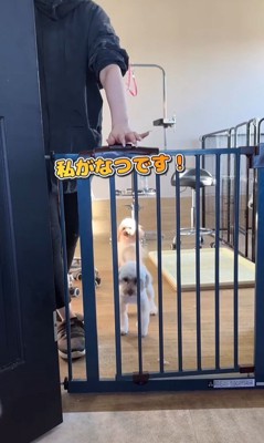 はるちゃん＆なつちゃんのお迎え9