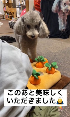 男の子が遊ぶ準備をするのを待つグリィくん7