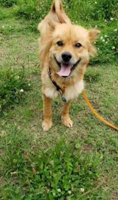 晴れやかな笑顔に!!