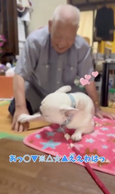 言葉にできない