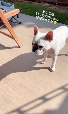 やまわきさんのお見送り9