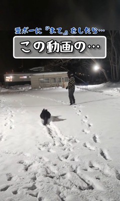 くるっと振り向いたら…