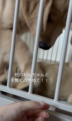 ぬいぐるみの手を戻し…