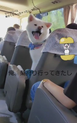 幸せそうな顔にホッコリ