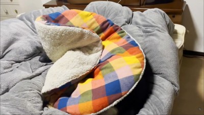 人間並みに体に掛けるのが上手(笑)