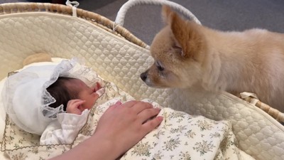 ニオイチェックが止まらない