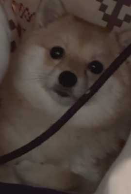 「まさか見てないよね…?」