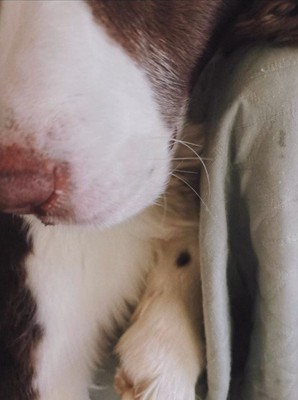 女の子が撮ったププくんの写真5