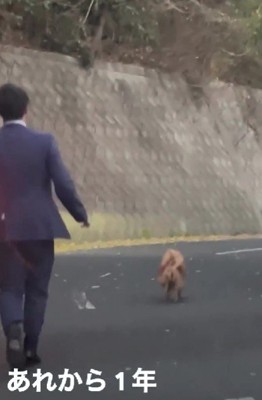 買い物帰りに車を走らせていたら…