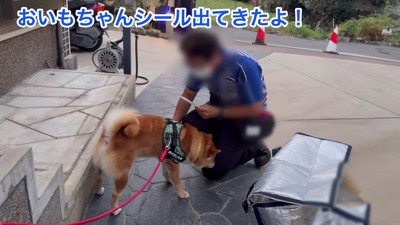 「シールも買ったよ」