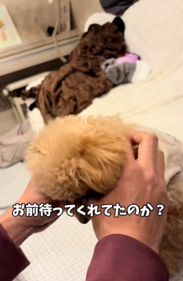 頷くようなくぅちゃん