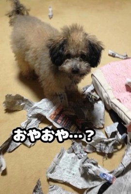 いたずらをする大地くん