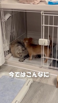 そして2ヶ月後…