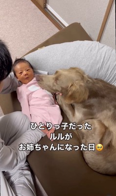 ルルちゃんと赤ちゃん