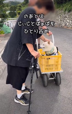 おじいちゃんとおばあちゃんを独り占め