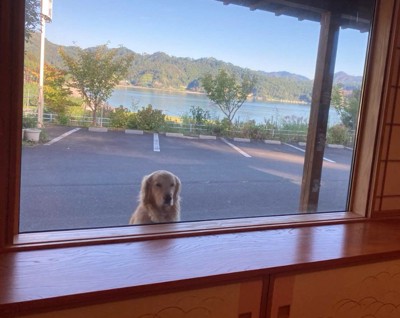 すっかり恒例の光景♪