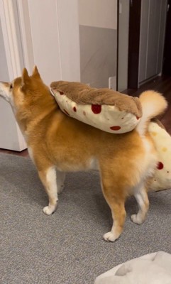 「おやつ」と聞いた文太くんの反応9