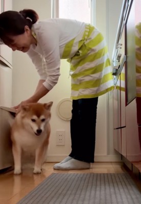 冷蔵庫の扉をブロック