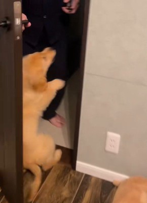 犬嫌いなおじいちゃんが…