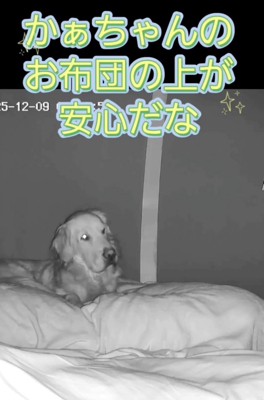 「今日はここにしよ」